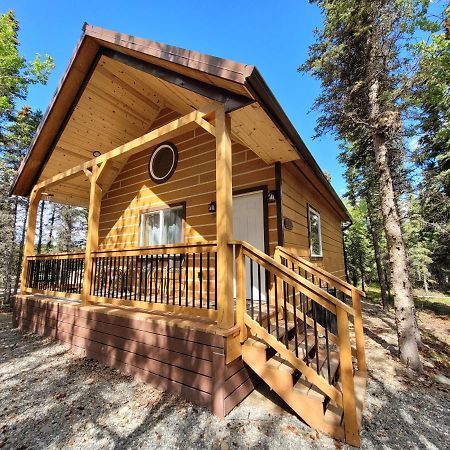 Denali Wild Stay - Redfox Cabin, Free Wifi, Private, Sleep 6 Healy Exterior photo