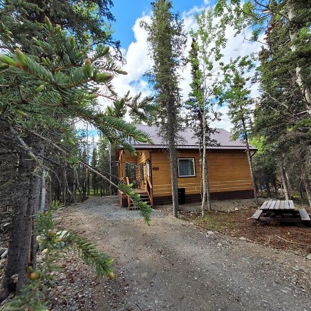 Denali Wild Stay - Redfox Cabin, Free Wifi, Private, Sleep 6 Healy Exterior photo