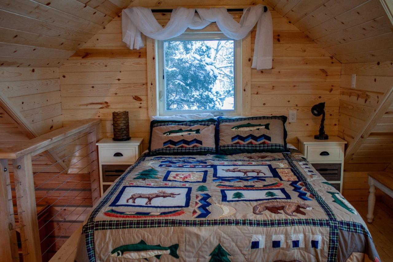 Denali Wild Stay - Redfox Cabin, Free Wifi, Private, Sleep 6 Healy Exterior photo