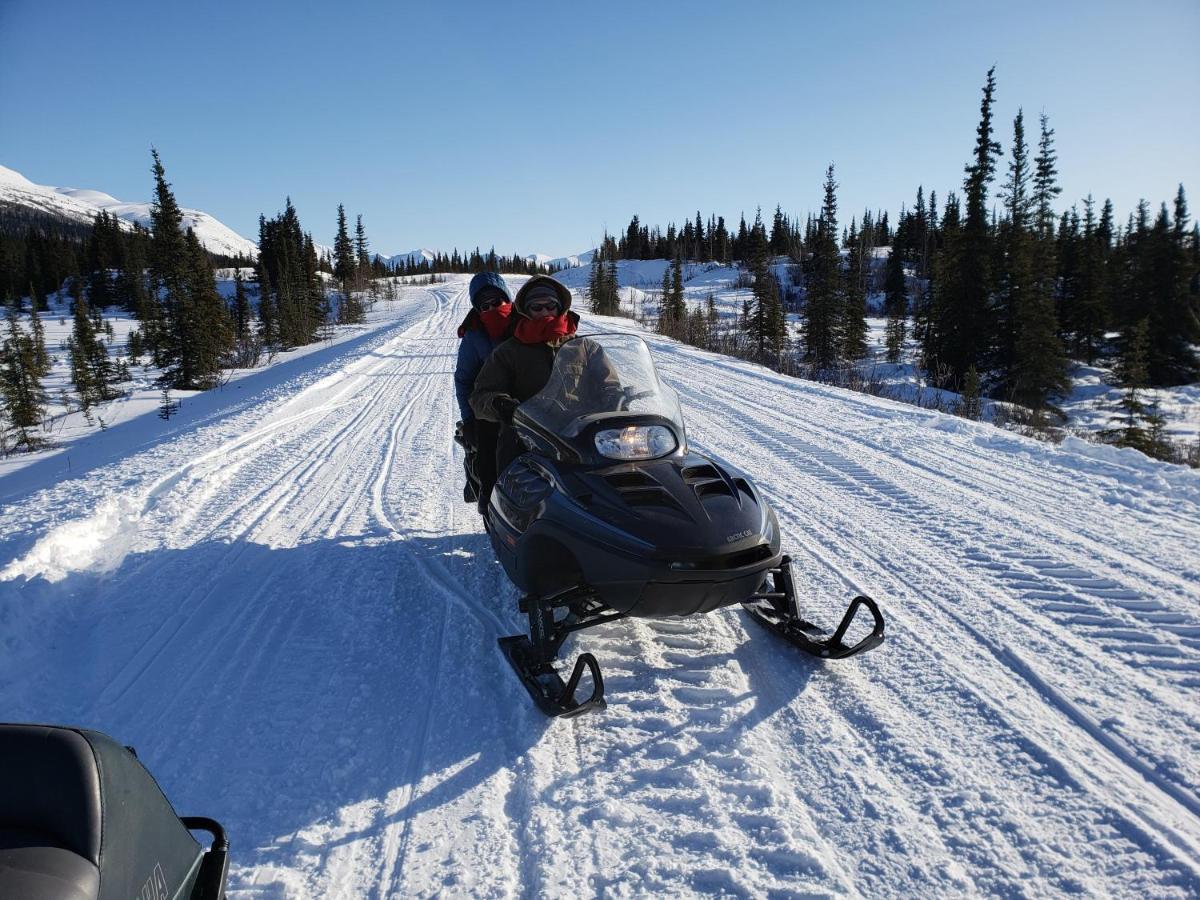 Denali Wild Stay - Redfox Cabin, Free Wifi, Private, Sleep 6 Healy Exterior photo