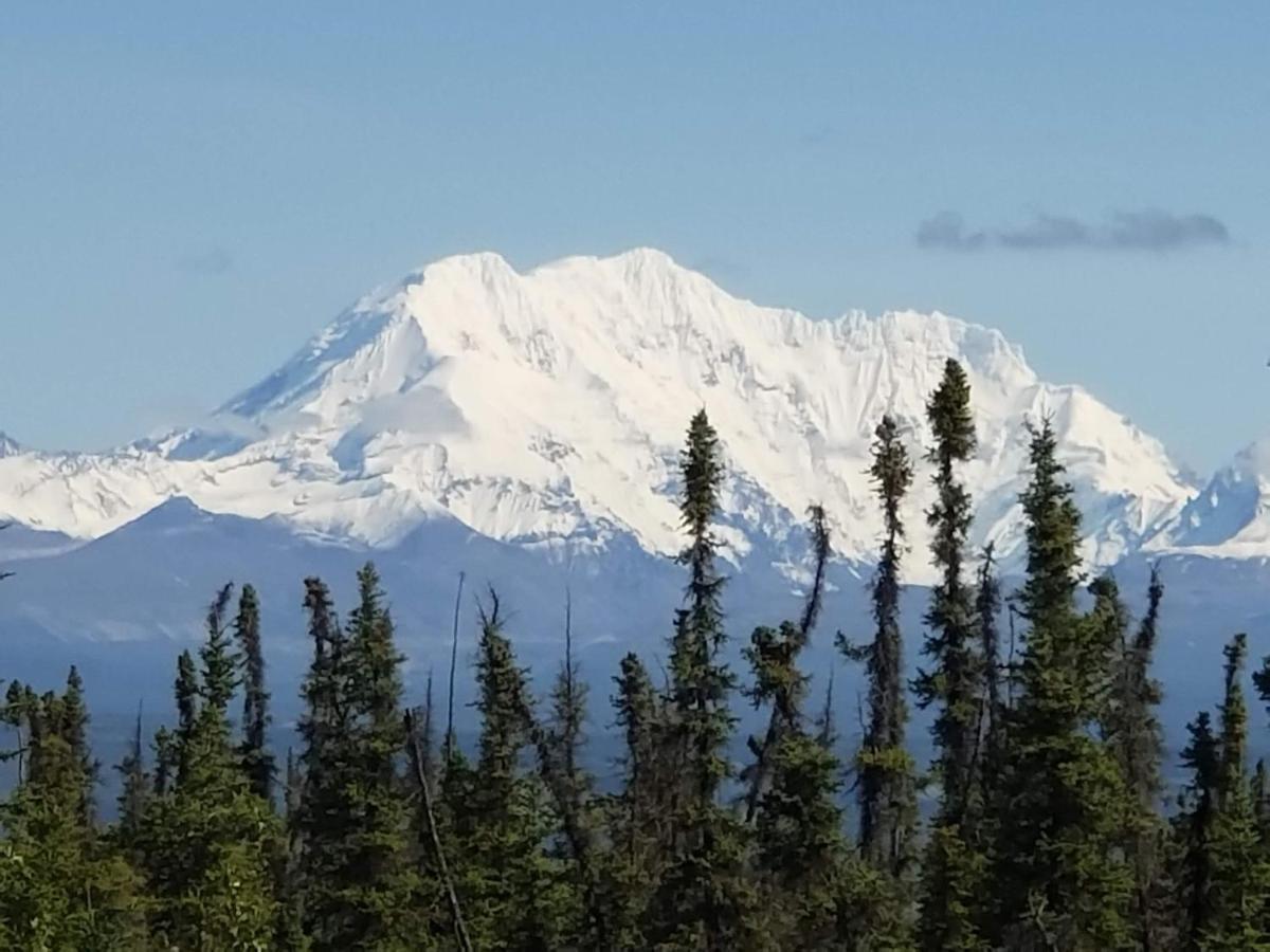 Denali Wild Stay - Redfox Cabin, Free Wifi, Private, Sleep 6 Healy Exterior photo