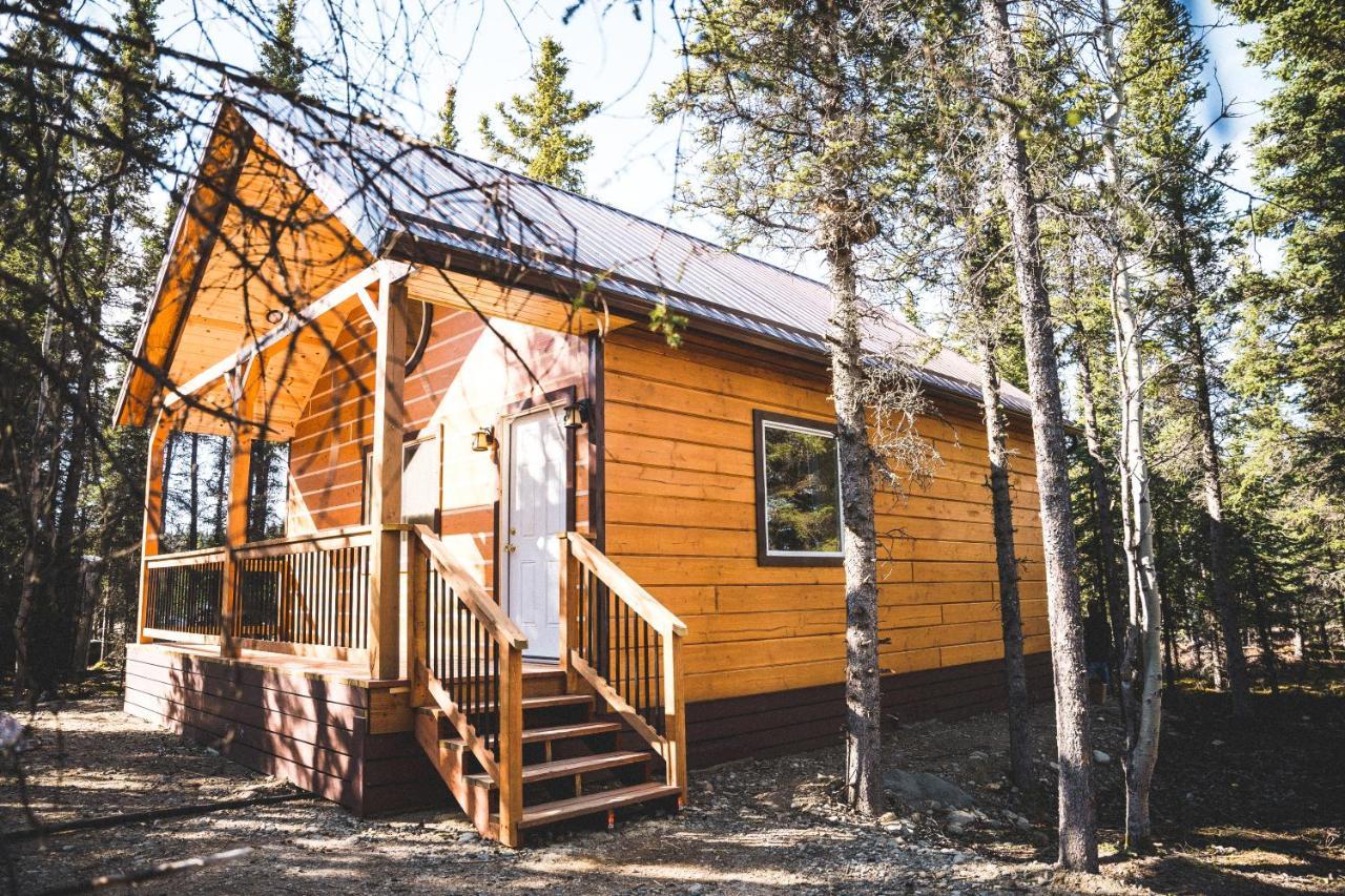 Denali Wild Stay - Redfox Cabin, Free Wifi, Private, Sleep 6 Healy Exterior photo