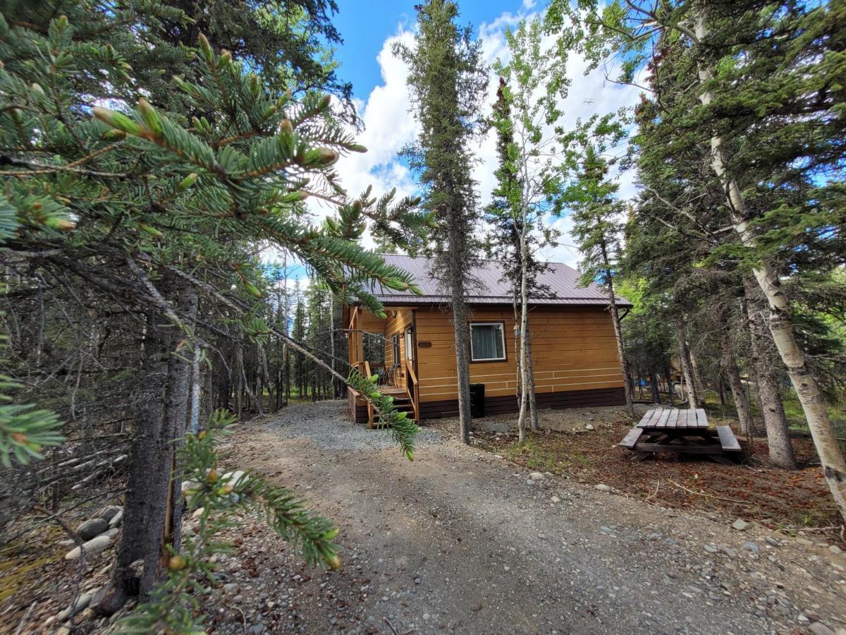 Denali Wild Stay - Redfox Cabin, Free Wifi, Private, Sleep 6 Healy Exterior photo